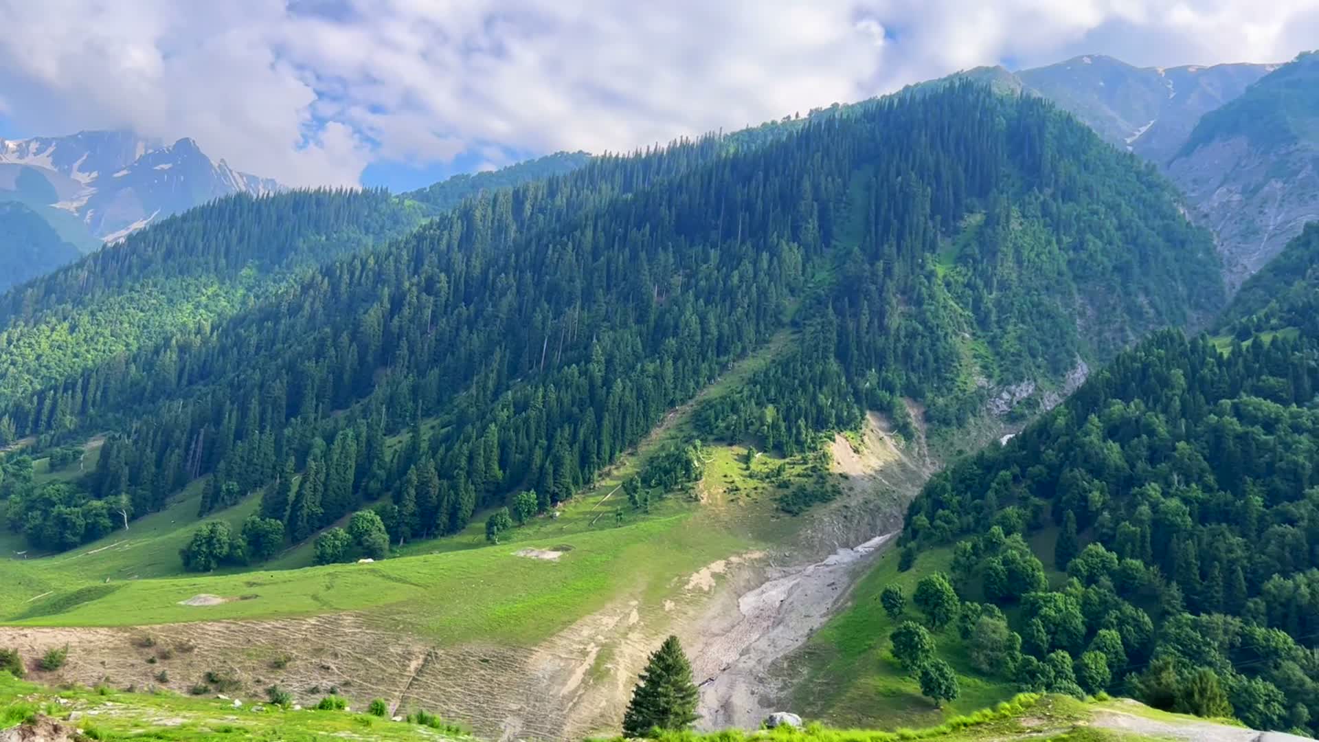 Pahalgam green valley and mountain scenery