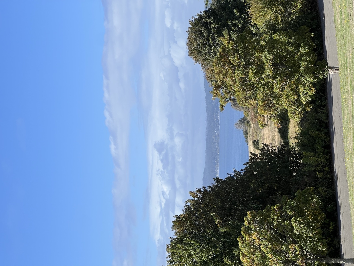 Discovery Park waterfront and green bluff scenery