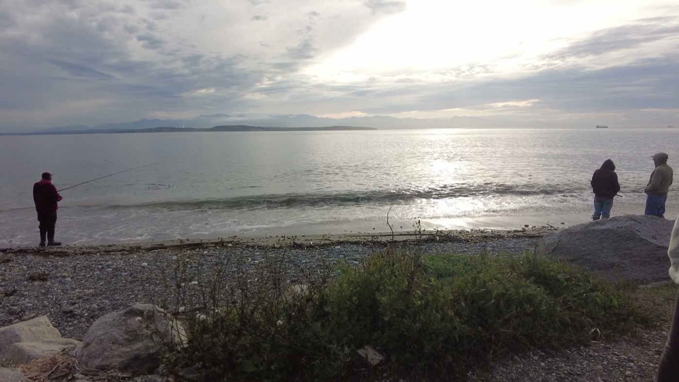 Whidbey Island beach horizon and Puget Sound scenery